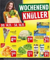 Gazetka promocyjna Edeka - Prospekte - Gazetka - ważna od 16.11 do 16.11.2024 - strona 28 - produkty: alpro, blume, blumen, blumenkohl, clementinen, drink, eier, mandel, Romanasalat, salat, settele, Ti