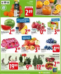 Gazetka promocyjna Edeka - Prospekte - Gazetka - ważna od 16.11 do 16.11.2024 - strona 5 - produkty: ananas, apfel, ball, fenster, grana, granatapfel, grapefruit, kiwi, Kranz, lebensmittel, LG, melone, obst, orange, Rana, Ria, ring, rosen, Rosenstrauß, salat, tafeläpfel, Ti, topf, trauben, Türkranz, wasser, wassermelone, Weihnachtsstern, zucker