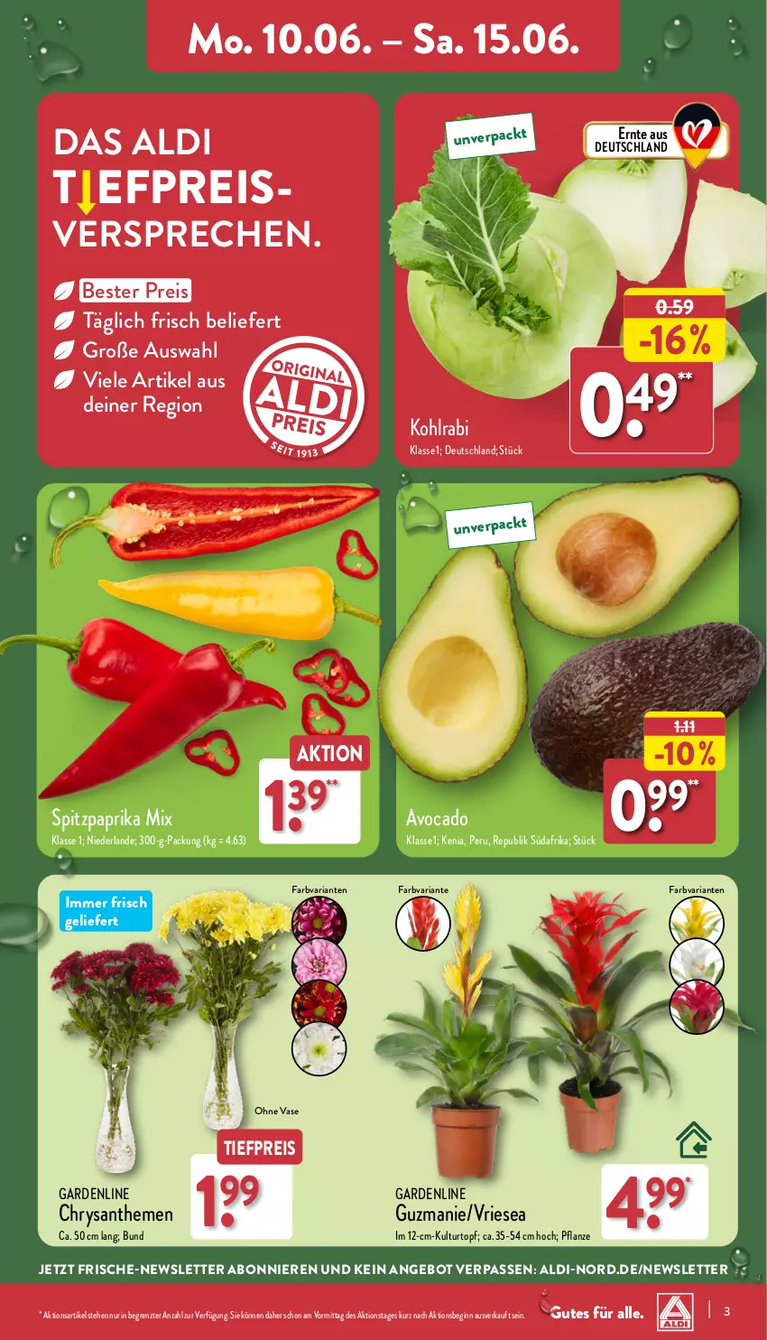 Aktueller Prospekt Aldi Nord - Von Montag - von 10.06 bis 15.06.2024 - strona 3 - produkty: aldi, angebot, avocado, chrysanthemen, eis, gin, kohlrabi, kulturtopf, paprika, paprika mix, pflanze, reis, Ria, Spitzpaprika, Ti, tiefpreis, topf, Vase, ZTE