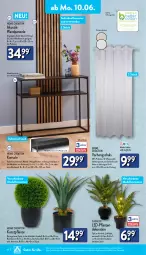 Gazetka promocyjna Aldi Nord - Von Montag - Gazetka - ważna od 15.06 do 15.06.2024 - strona 16 - produkty: aldi, aloe vera, ball, batterie, Bau, baumwolle, bett, buch, dekoration, dell, eis, elle, Kunstpflanze, Laufen, Mode, natur, paneel, pflanze, pflanzen, Ria, rückwand, rwe, Schal, Ti, topf, wolle