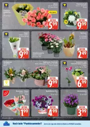 Gazetka promocyjna Edeka - Prospekte - Gazetka - ważna od 04.04 do 04.04.2026 - strona 11 - produkty: payback, tesa