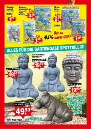 Gazetka promocyjna  - Prospekte - Gazetka - ważna od 01.02 do 01.02.2025 - strona 5 - produkty: blume, blumen, Buddha