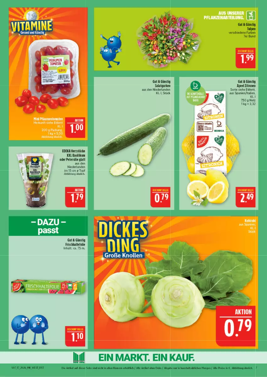 Aktueller Prospekt Marktkauf - Prospekt - von 19.04 bis 25.04.2026 - strona 7 - produkty: basilikum, deka, discount, eis, frischhaltefolie, gurke, gurken, Liege, petersilie, reis, salat, Salatgurke, salatgurken, Ti, topf, zitrone, zitronen