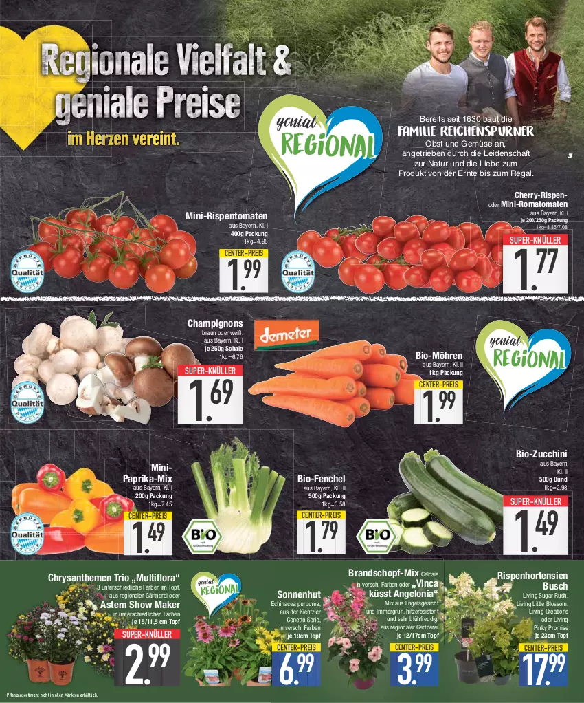 Aktueller Prospekt E Center - Angebote der Woche - von 24.07 bis 29.07.2023 - strona 3 - produkty: Bau, bio, bio-zucchini, braun, champignon, champignons, champignons braun, chrysanthemen, Echinacea, eis, Engel, ente, fenchel, hortensie, hortensien, mini-rispentomaten, möhren, natur, obst, Obst und Gemüse, paprika, pflanze, pflanzen, regal, reis, rispentomaten, Romatomaten, Schal, Schale, super-knüller, Ti, tomate, tomaten, topf, und gemüse, zucchini