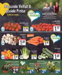 Gazetka promocyjna E Center - Angebote der Woche - Gazetka - ważna od 29.07 do 29.07.2023 - strona 3 - produkty: Bau, bio, bio-zucchini, braun, champignon, champignons, champignons braun, chrysanthemen, Echinacea, eis, Engel, ente, fenchel, hortensie, hortensien, mini-rispentomaten, möhren, natur, obst, Obst und Gemüse, paprika, pflanze, pflanzen, regal, reis, rispentomaten, Romatomaten, Schal, Schale, super-knüller, Ti, tomate, tomaten, topf, und gemüse, zucchini