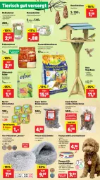 Gazetka promocyjna Thomas Philipps - Gazetka - ważna od 21.12 do 21.12.2024 - strona 8 - produkty: akku, Anhänger, auer, bett, blume, blumen, deka, Donut, eis, erdnuss, erdnüsse, fleisch, Holz, jumbo, katzenfutter, Knödel, ladekabel, mehl, Meisenknödel, nuss, Plüsch, reis, rind, rinder, sonnenblume, sonnenblumen, Sonnenblumenkerne, spartipp, Spezi, Ti, usb, Vogelfutter, vorteilspreis, Wild
