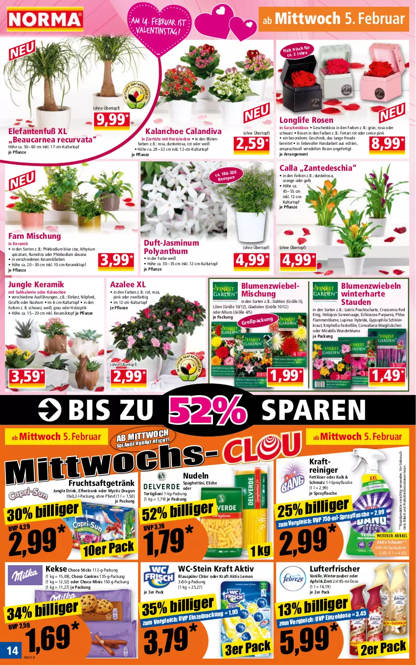 Aktueller Prospekt Norma - Norma - von 03.02 bis 10.02.2025 - strona 14 - produkty: apfel, bio, biozidprodukte, blume, blumen, Blüte, chia, cookie, cookies, dahlie, drink, Echinacea, eier, Elefant, ente, Fettlöser, flasche, frucht, fruchtsaft, fruchtsaftgetränk, Geschenkbox, getränk, gin, Gladiolen, Holz, Kalanchoe, keks, kekse, kraft, Kraut, kulturtopf, lamm, lion, longlife, lufterfrischer, nudel, nudeln, orange, pflanze, pflanzen, Rauch, reiniger, Ria, rosen, rum, rwe, saft, spaghetti, stauden, Sukkulente, Ti, topf, Tüte, übertopf, vanille, zwiebel, zwiebeln