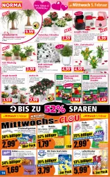 Gazetka promocyjna Norma - Norma - Gazetka - ważna od 10.02 do 10.02.2025 - strona 14 - produkty: apfel, bio, biozidprodukte, blume, blumen, Blüte, chia, cookie, cookies, dahlie, drink, Echinacea, eier, Elefant, ente, Fettlöser, flasche, frucht, fruchtsaft, fruchtsaftgetränk, Geschenkbox, getränk, gin, Gladiolen, Holz, Kalanchoe, keks, kekse, kraft, Kraut, kulturtopf, lamm, lion, longlife, lufterfrischer, nudel, nudeln, orange, pflanze, pflanzen, Rauch, reiniger, Ria, rosen, rum, rwe, saft, spaghetti, stauden, Sukkulente, Ti, topf, Tüte, übertopf, vanille, zwiebel, zwiebeln