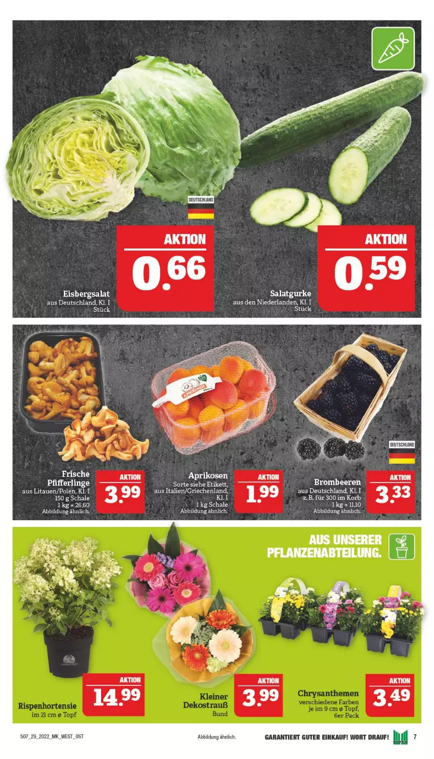 Aktueller Prospekt Marktkauf - Prospekt - von 17.07 bis 23.07.2022 - strona 7 - produkty: beere, beeren, brombeere, brombeeren, eis, eisbergsalat, gurke, korb, salat, Salatgurke, Schal, Schale, Ti