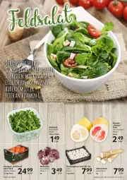 Gazetka promocyjna Selgros - Food - Gazetka - ważna od 14.12 do 14.12.2022 - strona 3 - produkty: eis, meerrettich, orange, orangen, Pomelo, Radicchio, reis, Rettich, sac, saft, Schal, Schale, Ti