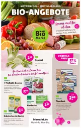 Gazetka promocyjna Denns Biomarkt - Prospekte - Gazetka - ważna od 28.02 do 28.02.2023 - strona 1 - produkty: andechser natur, angebot, angebote, auer, Bau, beere, beeren, beutel, bio, blume, blumen, blumenöl, butter, dennree, eis, elle, fenchel, fisch, heidelbeere, heidelbeeren, himbeer, himbeere, himbeeren, Holz, in olivenöl, kräuter, natur, olive, oliven, olivenöl, reis, saft, Sauerrahm, sonnenblume, sonnenblumen, sonnenblumenöl, Streichzart, tee, thunfisch, Ti, vorteilspreis