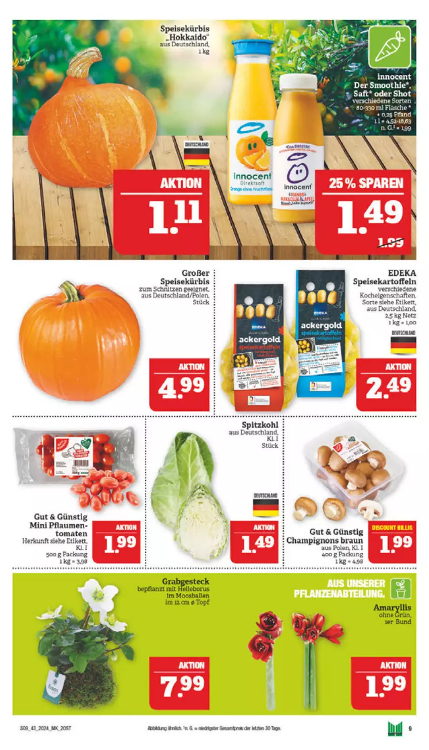 Aktueller Prospekt Marktkauf - Prospekt - von 20.10 bis 26.10.2024 - strona 9 - produkty: ackergold, ball, braun, champignon, champignons, champignons braun, deka, eis, elle, Innocent, kartoffel, kartoffeln, Kürbis, pflaume, pflaumen, speisekartoffeln, spitzkohl, Ti, tomate, tomaten, topf