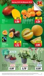 Gazetka promocyjna Lidl - Aktionsprospekt - Gazetka - ważna od 23.12 do 23.12.2023 - strona 9 - produkty: angebot, clementinen, coupon, discount, eis, frucht, galiamelone, kulturtopf, mandarine, mandarinen, mango, melone, passionsfrucht, pflanze, pflanzen, phalaenopsis, reis, Ria, rosen, Ti, topf, ZTE