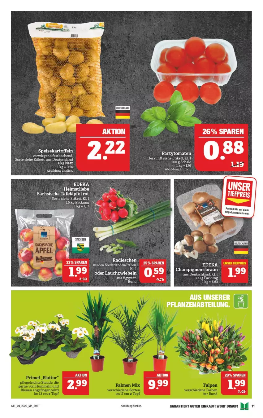 Aktueller Prospekt Marktkauf - Prospekt - von 23.01 bis 29.01.2022 - strona 15 - produkty: braun, champignon, champignons, champignons braun, deka, eis, kartoffel, kartoffeln, Lauchzwiebel, lauchzwiebeln, radieschen, regal, Schal, Schale, speisekartoffeln, tafeläpfel, Ti, zwiebel, zwiebeln