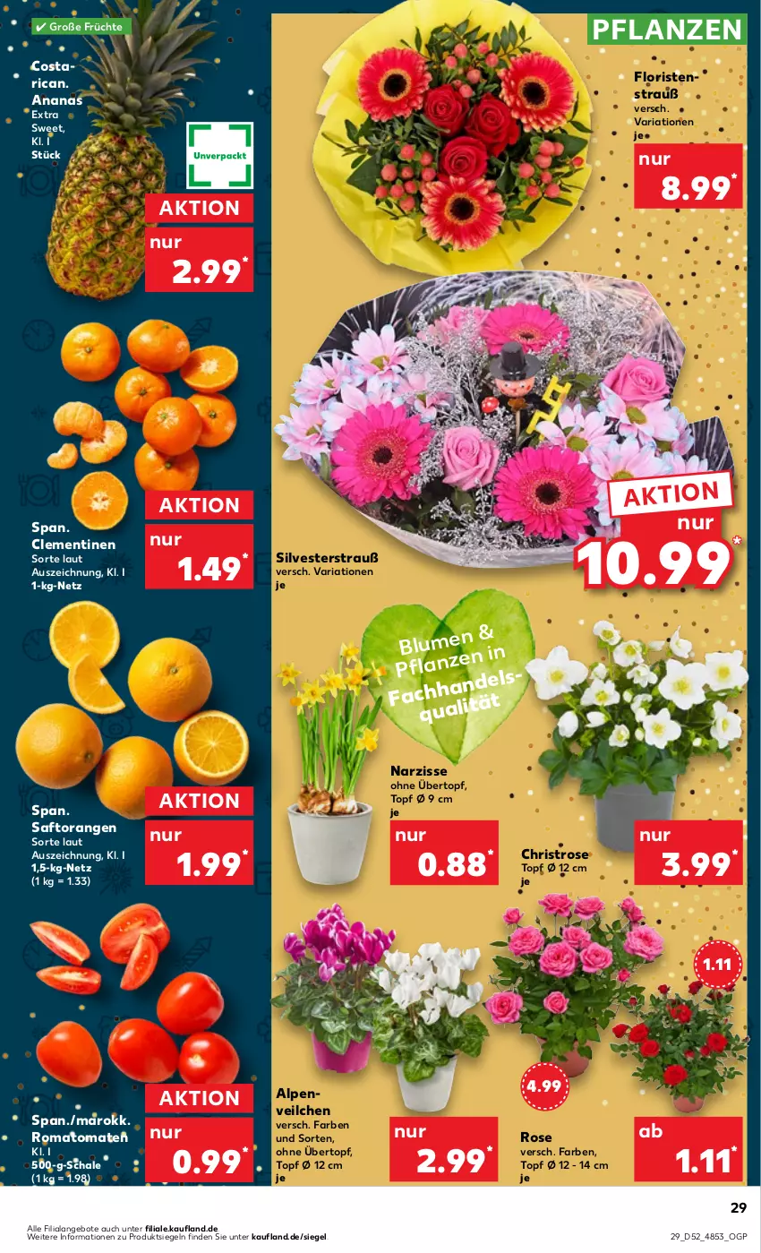 Aktueller Prospekt Kaufland - Prospekt - von 27.12.2023 bis 03.01.2024 - strona 29 - produkty: ananas, angebot, angebote, blume, clementinen, früchte, orange, orangen, pflanze, pflanzen, Ria, Romatomaten, saft, Saftorangen, Schal, Schale, Ti, tomate, tomaten, topf, topf ø 12 cm, übertopf