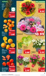 Gazetka promocyjna Kaufland - Prospekt - Gazetka - ważna od 03.01 do 03.01.2024 - strona 29 - produkty: ananas, angebot, angebote, blume, clementinen, früchte, orange, orangen, pflanze, pflanzen, Ria, Romatomaten, saft, Saftorangen, Schal, Schale, Ti, tomate, tomaten, topf, topf ø 12 cm, übertopf