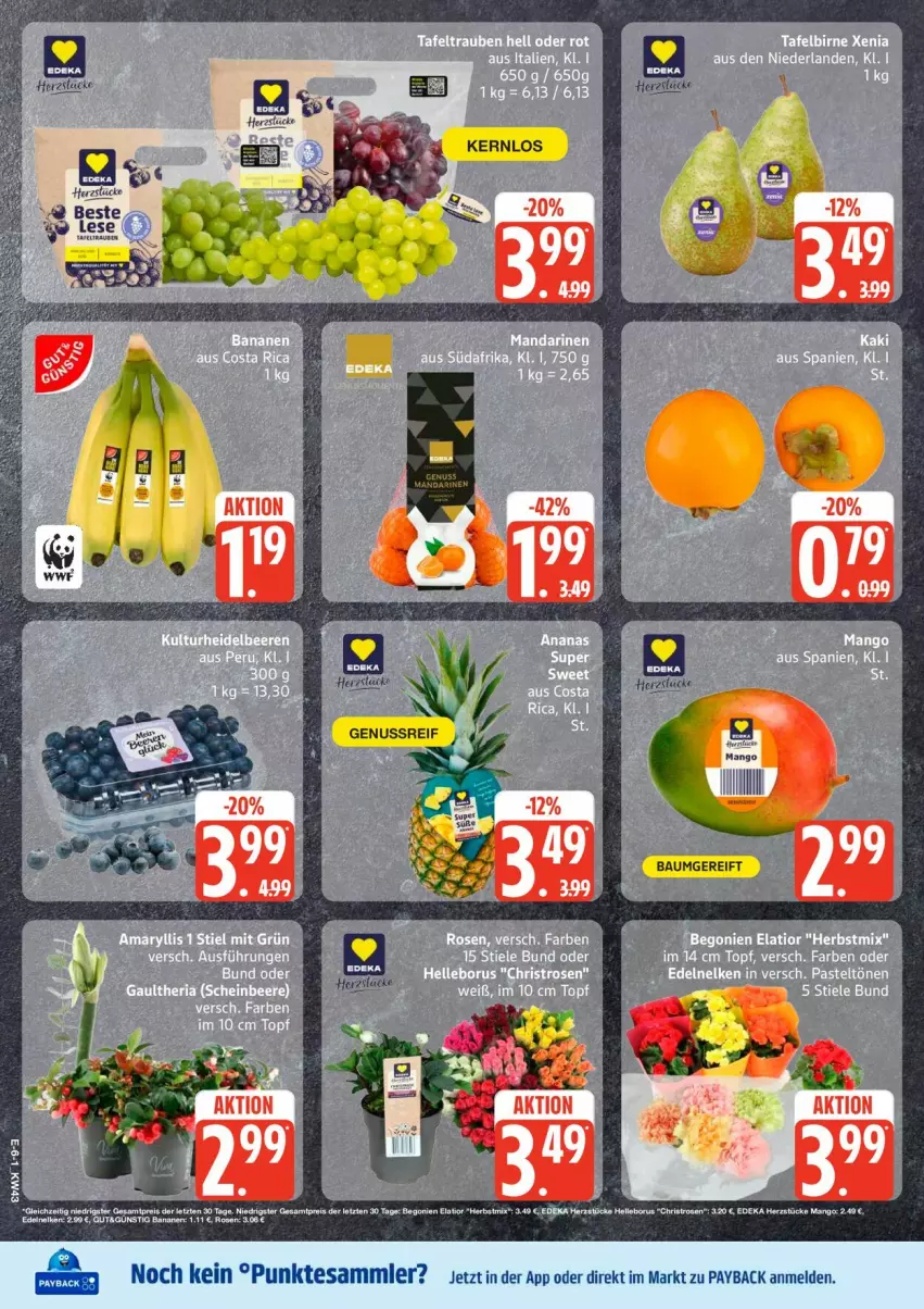 Aktueller Prospekt Edeka - Prospekte - von 19.10 bis 24.10.2026 - strona 8 - produkty: Bau, payback, tesa, Ti