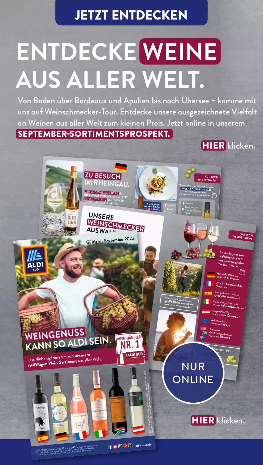 Aktueller Prospekt AldiSud - NÄCHSTE WOCHE - von 12.09 bis 17.09.2022 - strona 28 - produkty: aldi, antipasti, asti, auer, auto, Bad, bier, Biere, burgunder, decke, eimer, eis, elle, erde, fisch, flasche, fleisch, früchte, Geflügel, grauer burgunder, Käse, leine, leitz, linsen, lion, mac, meeresfrüchte, Meister, Müller, Müller-Thurgau, nuss, pasta, pril, reis, riesling, rioja, salat, schwein, spinat, Ti, vita, wein, weine, Weißwein, weißwein-