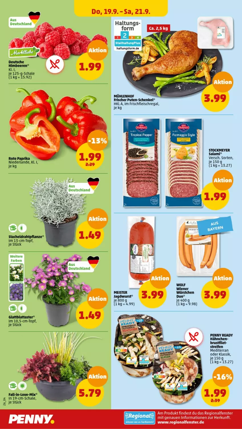 Aktueller Prospekt Penny - Prospekte - von 16.09 bis 21.09.2024 - strona 26 - produkty: brustfilet, Draht, eis, filet, fleisch, henkel, jagdwurst, maggi, Meister, paprika, pflanze, pute, regal, reifen, salami, Schal, Schale, schenkel, stockmeyer, topf, wiener, wurst, würstchen