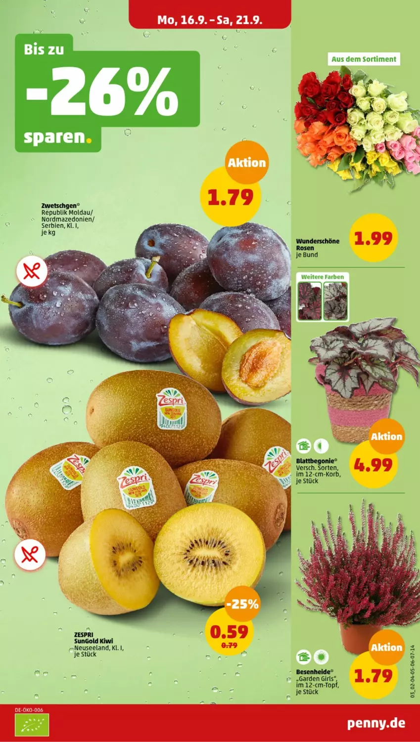 Aktueller Prospekt Penny - Prospekte - von 16.09 bis 21.09.2024 - strona 3 - produkty: kiwi, korb, Ti, topf, zespri