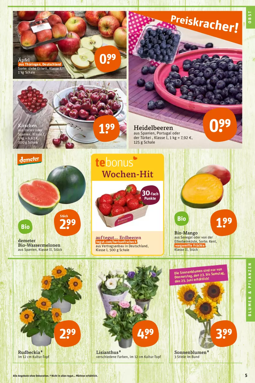 Aktueller Prospekt Tegut - Angebote der Woche - von 20.06 bis 25.06.2022 - strona 5 - produkty: angebot, angebote, Bau, beere, beeren, bio, blume, blumen, dekoration, erdbeere, erdbeeren, früchte, heidelbeere, heidelbeeren, kirsch, kirsche, kirschen, mango, melone, melonen, obst, pflanze, pflanzen, ring, Schal, Schale, sonnenblume, sonnenblumen, Ti, topf, wasser, wassermelone, wassermelonen