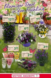 Gazetka promocyjna Selgros - Food - Gazetka - ważna od 20.03 do 20.03.2024 - strona 21 - produkty: angebot, angebote, blume, blumen, LG, Ti, topf, Wandhänger