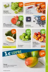 Gazetka promocyjna Tegut - Angebote der Woche - Gazetka - ważna od 01.07 do 01.07.2023 - strona 5 - produkty: angebot, angebote, Bau, beere, beeren, bio, dekoration, eis, elle, fleisch, früchte, heidelbeere, heidelbeeren, leine, limette, limetten, mango, melone, melonen, Mett, metten, Nektar, nektarinen, pfirsich, pfirsiche, pfirsiche oder, reis, Schal, Schale, teller, Ti, trauben, wasser, wassermelone, wassermelonen, wein