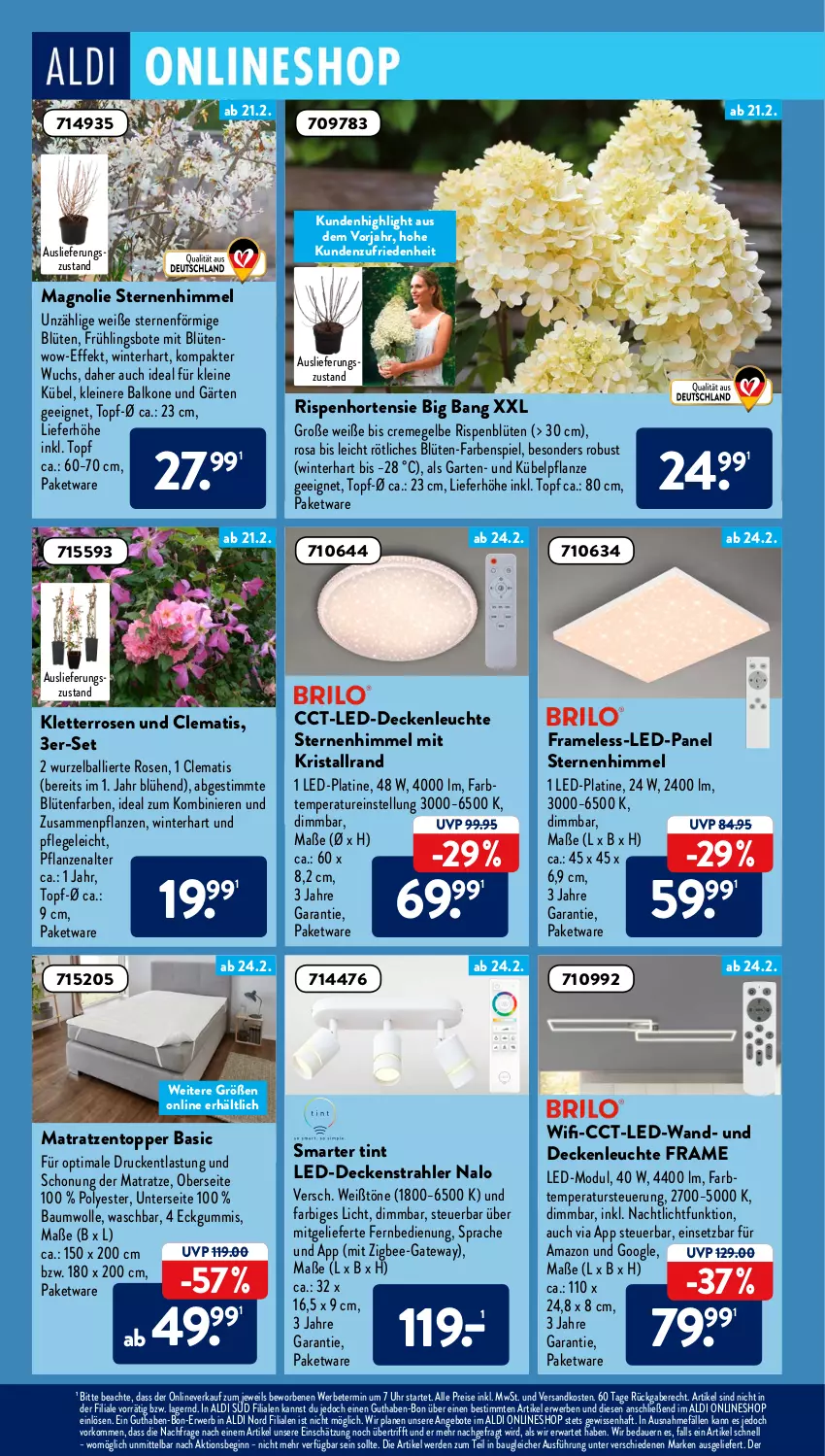 Aktueller Prospekt AldiSud - ALDI Aktuell - von 12.02 bis 26.02.2022 - strona 14 - produkty: aldi, angebot, angebote, auer, ball, Bau, baumwolle, Blüte, creme, decke, deckenleuchte, eis, erde, fernbedienung, Garten, gin, hortensie, led-deckenleuchte, leine, Leuchte, matratze, matratzen, Matratzentopper, Nachtlicht, ndk, pflanze, pflanzen, reis, rosen, rwe, Ti, topf, topper, uhr, wolle