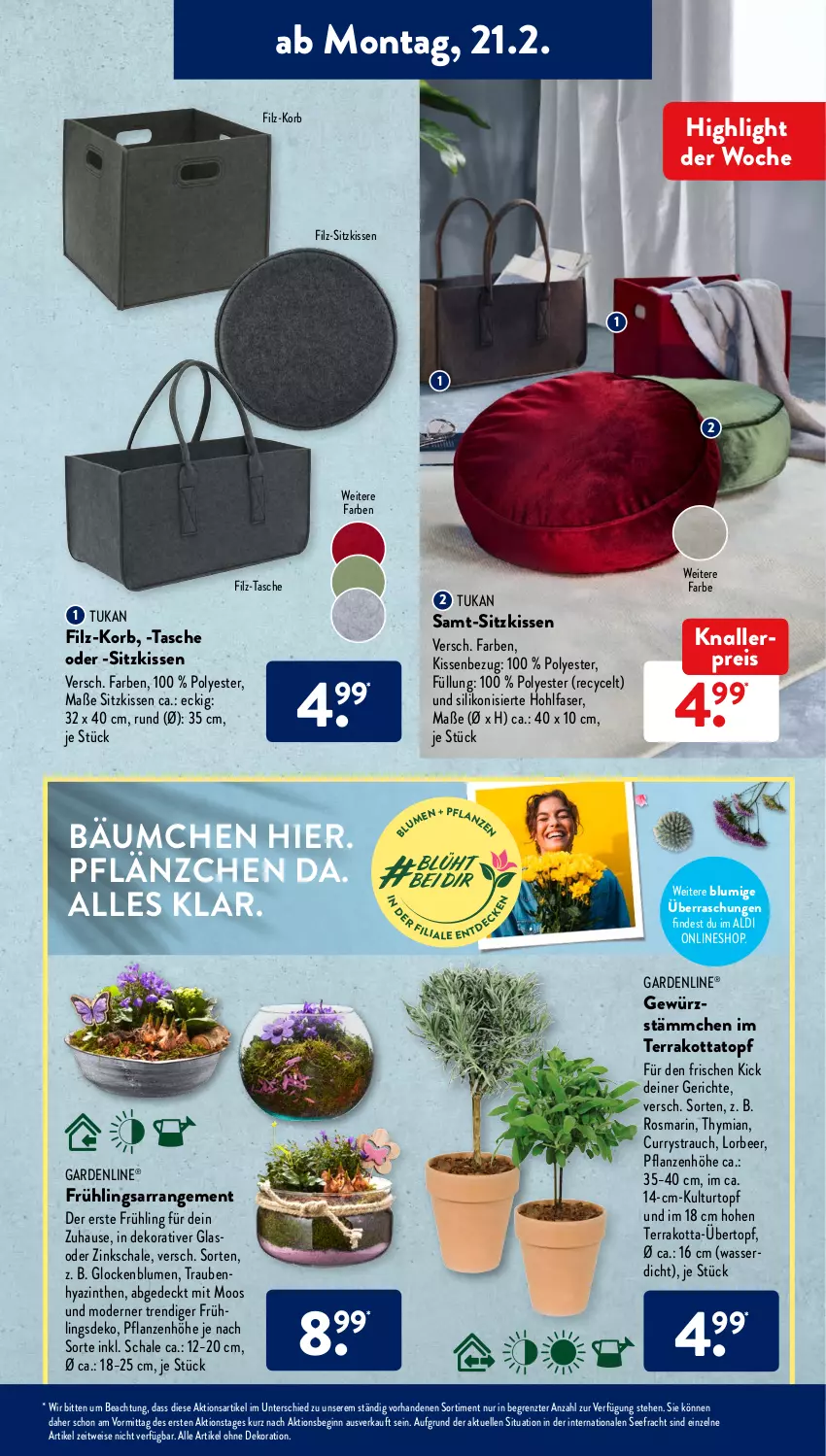 Aktueller Prospekt AldiSud - ALDI Aktuell - von 12.02 bis 26.02.2022 - strona 9 - produkty: aldi, alle artikel ohne dekoration, blume, blumen, curry, dekoration, eis, elle, gardenline®, gewürz, gin, kissen, Kissenbezug, knallerpreis, korb, kulturtopf, Mode, pflanze, pflanzen, Rauch, reis, rosmarin, Schal, Schale, sitzkissen, Tasche, Ti, topf, trauben, übertopf, wasser, ZTE