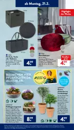 Gazetka promocyjna AldiSud - ALDI Aktuell - Gazetka - ważna od 26.02 do 26.02.2022 - strona 9 - produkty: aldi, alle artikel ohne dekoration, blume, blumen, curry, dekoration, eis, elle, gardenline®, gewürz, gin, kissen, Kissenbezug, knallerpreis, korb, kulturtopf, Mode, pflanze, pflanzen, Rauch, reis, rosmarin, Schal, Schale, sitzkissen, Tasche, Ti, topf, trauben, übertopf, wasser, ZTE