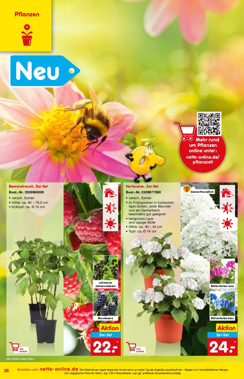 Aktueller Prospekt Netto Marken-Discount - Online-Angebote Mai - von 01.05 bis 27.05.2022 - strona 26 - produkty: angebot, beere, beeren, Blüte, brombeere, eis, ente, Garten, hortensie, hortensien, johannisbeere, LG, ndk, pflanze, pflanzen, Rauch, reis, Ti, topf, ZTE