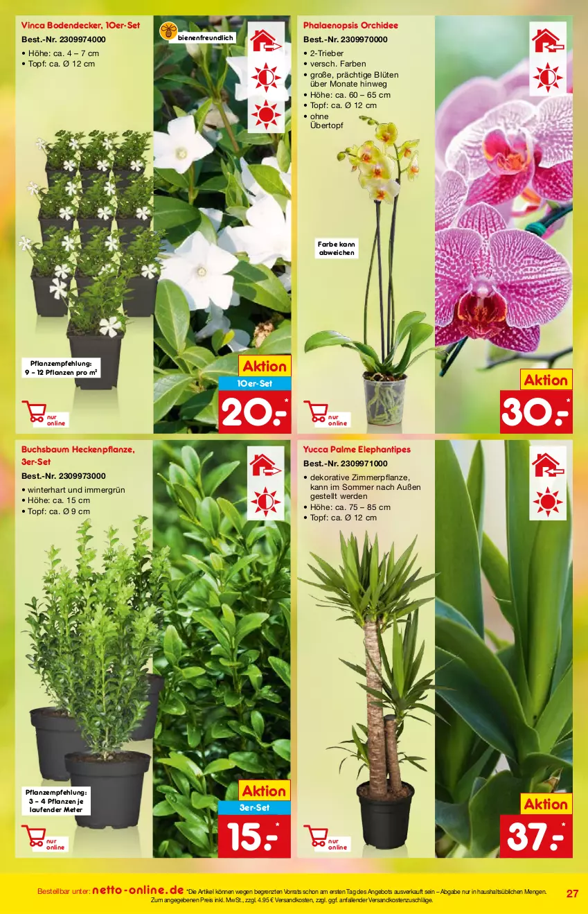 Aktueller Prospekt Netto Marken-Discount - Online-Angebote Mai - von 01.05 bis 27.05.2022 - strona 27 - produkty: angebot, Bau, Blüte, buch, decke, eis, erde, Laufen, ndk, orchidee, pflanze, pflanzen, phalaenopsis, reis, Ti, topf, übertopf, ZTE