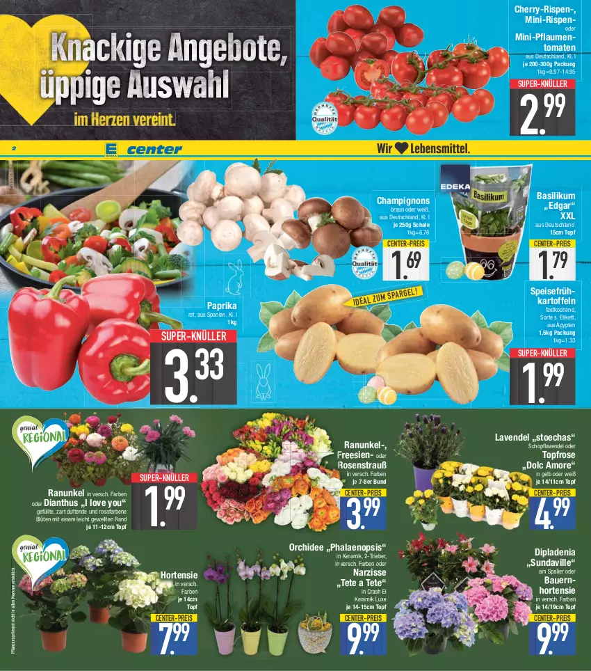 Aktueller Prospekt E Center - Angebote der Woche - von 03.04 bis 08.04.2023 - strona 2 - produkty: auer, basilikum, Bau, Bauer, Blüte, braun, champignon, champignons, champignons braun, dip, dipladenia, eis, ente, Frühkartoffeln, hortensie, kartoffel, kartoffeln, lavendel, orchidee, paprika, pflanze, pflanzen, pflaume, pflaumen, phalaenopsis, reis, rosen, Rosenstrauß, Schal, Schale, speisefrühkartoffeln, super-knüller, Ti, tomate, tomaten, topf, Yo, ZTE