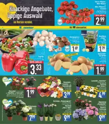 Gazetka promocyjna E Center - Angebote der Woche - Gazetka - ważna od 08.04 do 08.04.2023 - strona 2 - produkty: auer, basilikum, Bau, Bauer, Blüte, braun, champignon, champignons, champignons braun, dip, dipladenia, eis, ente, Frühkartoffeln, hortensie, kartoffel, kartoffeln, lavendel, orchidee, paprika, pflanze, pflanzen, pflaume, pflaumen, phalaenopsis, reis, rosen, Rosenstrauß, Schal, Schale, speisefrühkartoffeln, super-knüller, Ti, tomate, tomaten, topf, Yo, ZTE