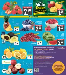 Gazetka promocyjna E Center - Angebote der Woche - Gazetka - ważna od 08.04 do 08.04.2023 - strona 3 - produkty: ananas, avocado, beere, beeren, beko, bio, bio-zitronen, coupon, coupons, deka, deutschlandcard, eis, elle, ente, erdbeere, erdbeeren, erde, heidelbeere, heidelbeeren, himbeer, himbeere, himbeeren, LG, mango, melone, nuss, reis, super-knüller, tafeläpfel, tafeltrauben, tee, Ti, trauben, wasser, wassermelone, zitrone, zitronen