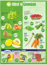 Gazetka promocyjna Vmarkt - Prospekte - Gazetka - ważna od 03.09 do 03.09.2025 - strona 4 - produkty: avocado, avocados, bio, Birnen, Bratpeperoni, cherrytomaten, Elan, gurke, gurken, karotten, kiwi, mango, mangos, ndk, peperoni, Peroni, Rettich, Schal, Schale, Ti, tomate, tomaten, trauben, zespri