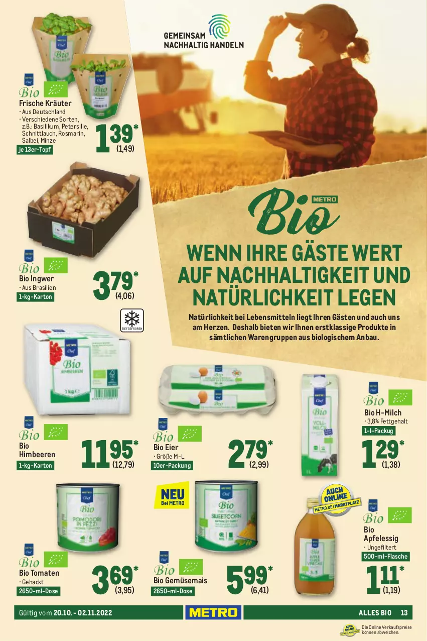 Aktueller Prospekt Metro - GastroJournal - von 20.10 bis 02.11.2022 - strona 13 - produkty: apfel, apfelessig, basilikum, Bau, beere, beeren, bio, bio gemüse, eier, eis, essig, flasche, gemüsemais, himbeer, himbeere, himbeeren, ingwer, kräuter, lebensmittel, mais, milch, minze, petersilie, reis, rosmarin, schnittlauch, Ti, tomate, tomaten, topf