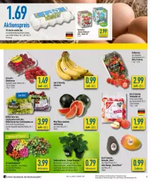 Gazetka promocyjna Diska - Prospekte - Gazetka - ważna od 09.04 do 09.04.2022 - strona 4 - produkty: aktionspreis, avocado, banane, bananen, beere, beeren, blume, blumen, burger, deka, driscoll's, eier, eis, erdbeere, erdbeeren, Erdbeerpflanze, fisch, fleisch, früchte, himbeer, himbeere, himbeeren, mango, melone, pflanze, reis, rosen, Schal, Schale, tafeläpfel, tafeltrauben, Ti, topf, trauben, wasser, wassermelone