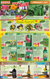 Gazetka promocyjna Norma - Norma - Gazetka - ważna od 10.04 do 10.04.2023 - strona 12 - produkty: auer, Bau, Bauer, beere, beeren, beetpflanzen, Begonia, Begonie, blume, blumen, blumenerde, Blüte, curry, cuvée, dünger, Egger, eier, eis, elle, ente, erde, Feigen, flasche, flüssigdünger, frucht, Garten, geranie, geranien, Geranienerde, Germ, gewürz, kaffee, kakao, Kinder, kirsch, kirsche, kokos, Kraut, kräuter, kräutern, kübelpflanzen, küche, Küchen, kulturtopf, latte, Lobelie, minze, orchidee, orchideen, Orchideenerde, petunie, petunien, pfeffer, pflanze, pflanzen, pril, primitivo, rasen, Ria, riesling, rosen, rosmarin, saft, schoko, schokolade, Spezi, stauden, teppich, Ti, topf, usb, vanille, Vegeta, wasser, wein, weine, Weißwein, weißwein-