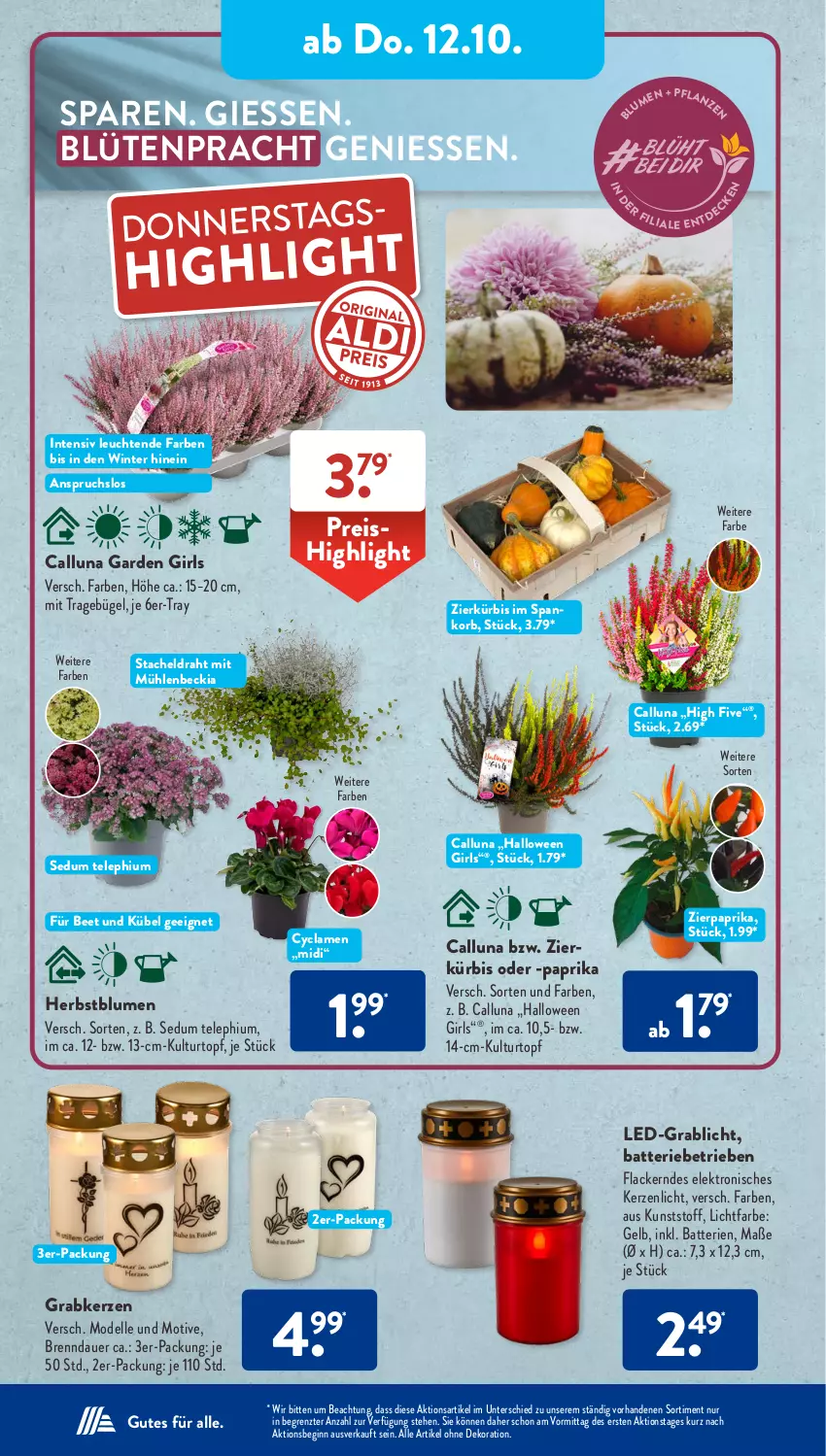 Aktueller Prospekt AldiSud - NÄCHSTE WOCHE - von 09.10 bis 14.10.2023 - strona 29 - produkty: alle artikel ohne dekoration, auer, batterie, batterien, blume, blumen, Blüte, bügel, dekoration, dell, Draht, eis, Elektro, elle, gin, kerze, korb, kulturtopf, Kürbis, lack, Lacke, Leuchte, leuchten, Mode, paprika, reis, Ti, topf, ZTE