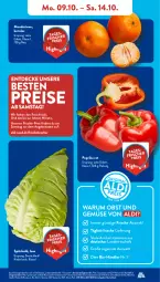 Gazetka promocyjna AldiSud - NÄCHSTE WOCHE - Gazetka - ważna od 14.10 do 14.10.2023 - strona 5 - produkty: aldi, angebot, bio, Bio-Obst, decke, discount, eis, elle, kracher, lebensmittel, mandarine, mandarinen, monitor, obst, Obst und Gemüse, paprika, paprika rot, reis, rum, spitzkohl, Ti, und gemüse, ZTE