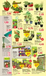 Gazetka promocyjna Jawoll - Prospekte - Gazetka - ważna od 06.05 do 06.05.2023 - strona 6 - produkty: ball, bambus, beere, beeren, blume, blumen, cocktail, dünger, eier, eis, Erdbeerpflanze, erde, fleisch, frucht, Gemüsedünger, Gemüseerde, gurke, gurken, HP, kohlrabi, Komposter, kopfsalat, kräuter, küche, Küchen, Mantel, paprika, peperoni, Peroni, petersilie, pflanze, pflanzen, Ria, rind, rinder, rosen, sac, salat, schnittlauch, Spezi, Ti, tomate, tomaten, topf, zucchini, zwiebel, zwiebeln