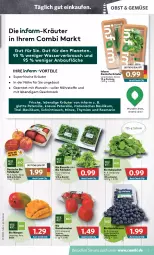 Gazetka promocyjna Combi - Prospekte - Gazetka - ważna od 29.01 do 29.01.2022 - strona 3 - produkty: Babyspinat, basilikum, Bau, beere, beeren, beutel, bio, cola, feldsalat, heidelbeere, heidelbeeren, kräuter, latte, mac, mango, mangos, minze, obst, petersilie, Rauch, Romatomaten, rosmarin, salat, Schal, Schale, schnittlauch, spinat, tafeläpfel, tomate, tomaten, wasser