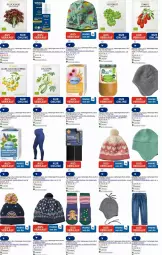 Gazetka promocyjna Dm Drogerie - Prospekte - Gazetka - ważna od 30.07 do 30.07.2025 - strona 18 - produkty: beutel, bio, blume, blumen, brokkoli, cocktail, eis, elle, feldsalat, freche freunde, gin, honig, hose, jeans, kräuter, leggings, Mütze, nudel, nudeln, nuk, reis, Ria, rum, sac, salat, Serum, Strumpfhose, Tasche, tee, Ti, tomate, topper, usb, vita, weleda, wolle, zucchini