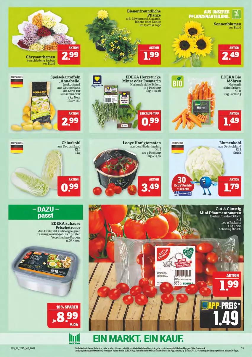 Aktueller Prospekt Marktkauf - Prospekt - von 06.07 bis 12.07.2025 - strona 15 - produkty: aktionspreis, bio, blume, blumen, blumenkohl, chrysanthemen, dahlie, deka, edeka bio, edelstahl, eis, elle, Ergee, feinschmecker, honig, Honigtomaten, kartoffel, kartoffeln, löwenmaul, minze, möhren, pflanze, pflaume, pflaumen, reis, rosmarin, sonnenblume, sonnenblumen, speisekartoffeln, Ti, tomate, tomaten, topf, ZTE
