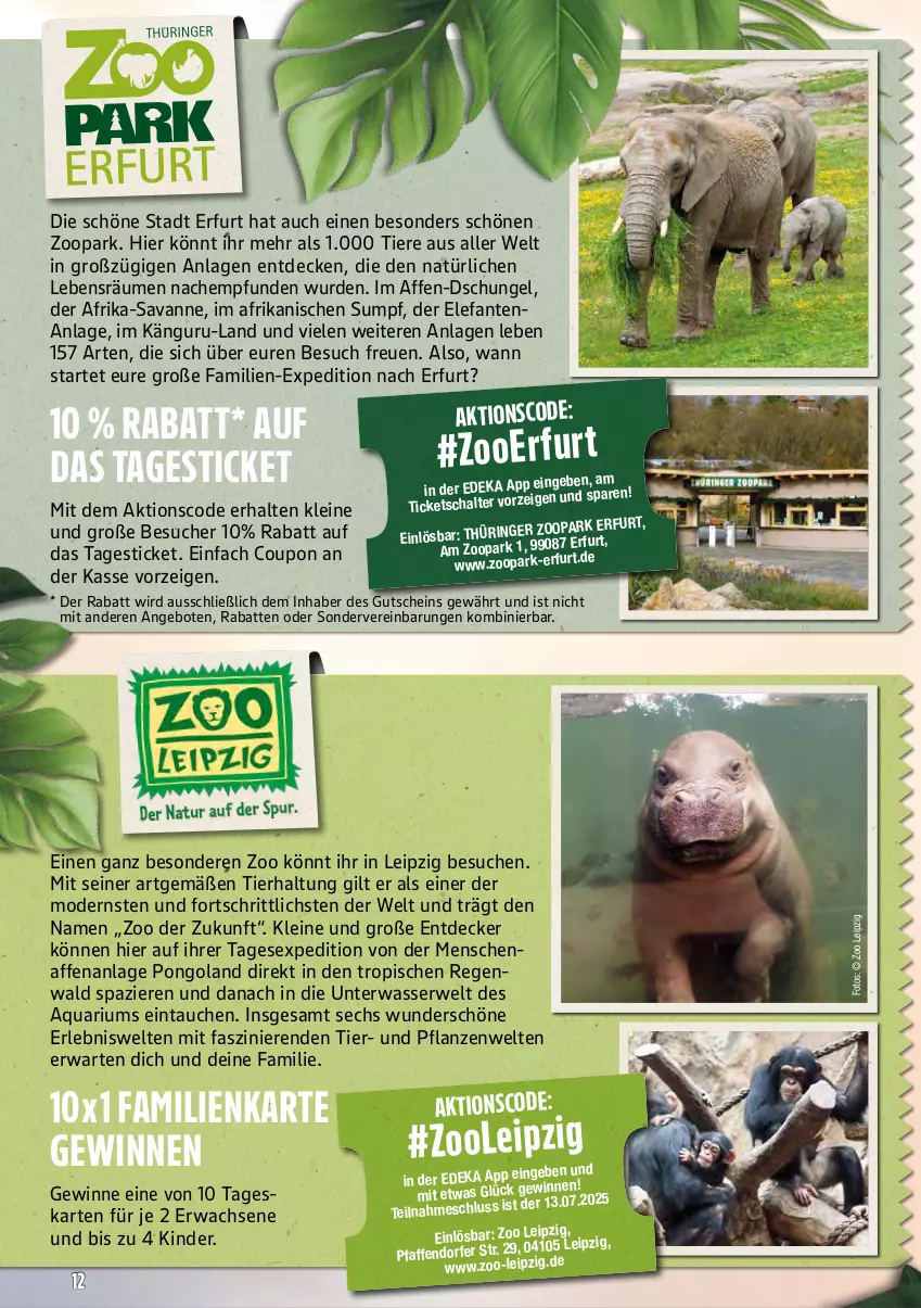 Aktueller Prospekt Marktkauf - Prospekt - von 06.07 bis 12.07.2025 - strona 56 - produkty: angebot, angebote, aqua, coupon, decke, deka, Elefant, gutschein, Kinder, leine, Mode, pflanze, pflanzen, ring, rwe, Schal, Ti, Tiere, wasser