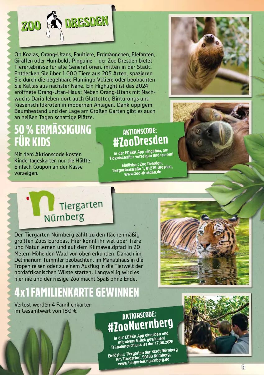 Aktueller Prospekt Marktkauf - Prospekt - von 06.07 bis 12.07.2025 - strona 57 - produkty: Bau, coupon, decke, deka, eis, Elefant, erde, Garten, Kinder, mac, Mode, natur, pingui, reis, Ria, rwe, Schal, Ti, Tiere