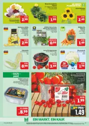 Gazetka promocyjna Marktkauf - Prospekt - Gazetka - ważna od 12.07 do 12.07.2025 - strona 15 - produkty: aktionspreis, bio, blume, blumen, blumenkohl, chrysanthemen, dahlie, deka, edeka bio, edelstahl, eis, elle, Ergee, feinschmecker, honig, Honigtomaten, kartoffel, kartoffeln, löwenmaul, minze, möhren, pflanze, pflaume, pflaumen, reis, rosmarin, sonnenblume, sonnenblumen, speisekartoffeln, Ti, tomate, tomaten, topf, ZTE