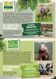 Gazetka promocyjna Marktkauf - Prospekt - Gazetka - ważna od 12.07 do 12.07.2025 - strona 56 - produkty: angebot, angebote, aqua, coupon, decke, deka, Elefant, gutschein, Kinder, leine, Mode, pflanze, pflanzen, ring, rwe, Schal, Ti, Tiere, wasser