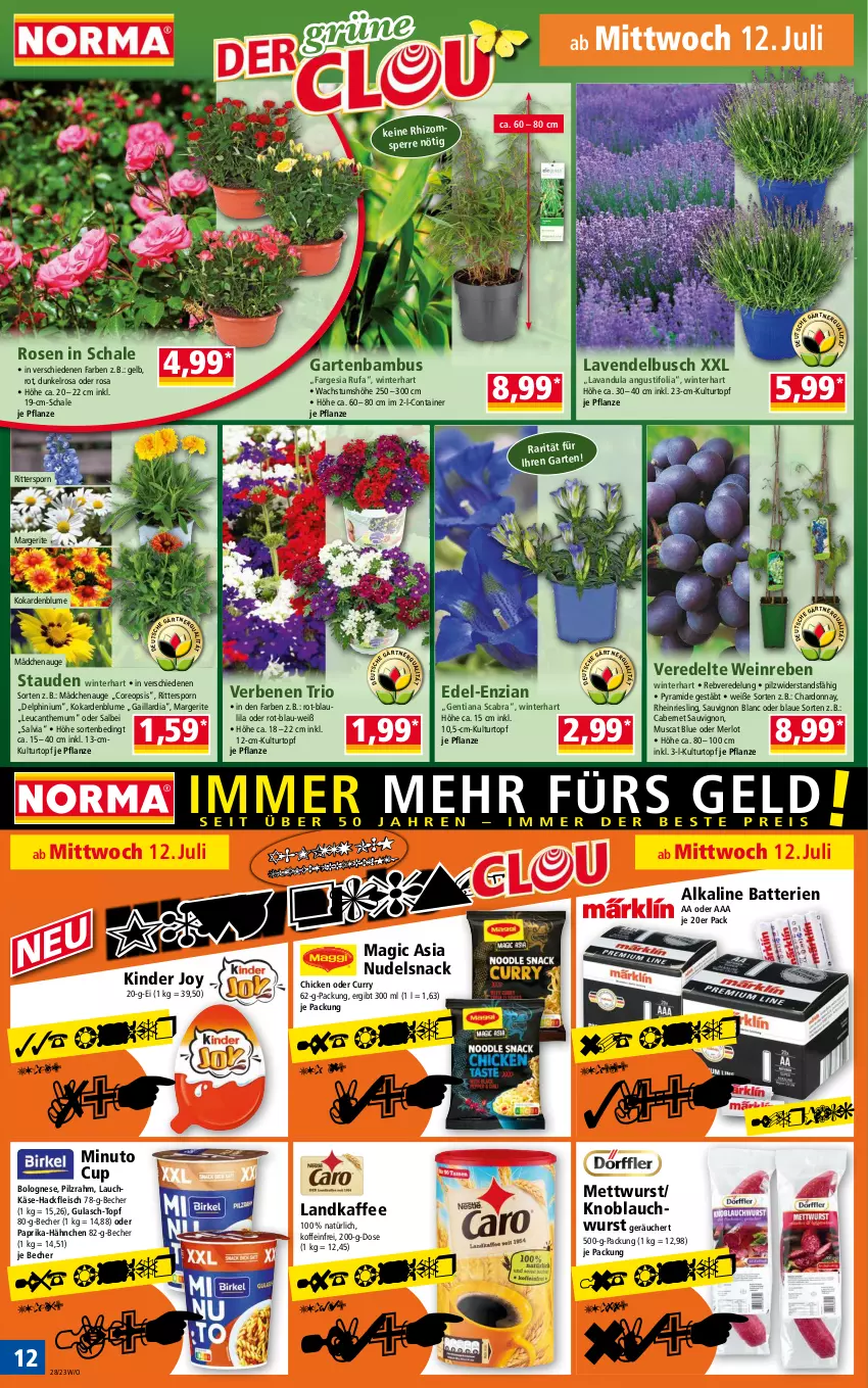 Aktueller Prospekt Norma - Norma - von 10.07 bis 17.07.2023 - strona 12 - produkty: bambus, batterie, batterien, Becher, blume, bolognese, cabernet, cabernet sauvignon, chardonnay, Container, curry, eis, fleisch, Garten, gulasch, hackfleisch, kaffee, Käse, Kinder, knoblauch, kulturtopf, lavendel, merl, merlot, Mett, mettwurst, muscat, ndk, nudel, oreo, paprika, pflanze, riesling, ritter, rosen, sauvignon, sauvignon blanc, Schal, Schale, snack, stauden, Ti, topf, wein, wurst